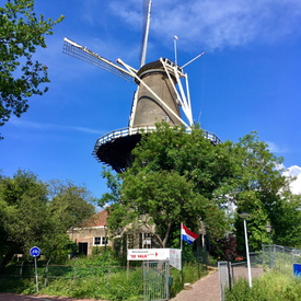 [2017] Netherlands